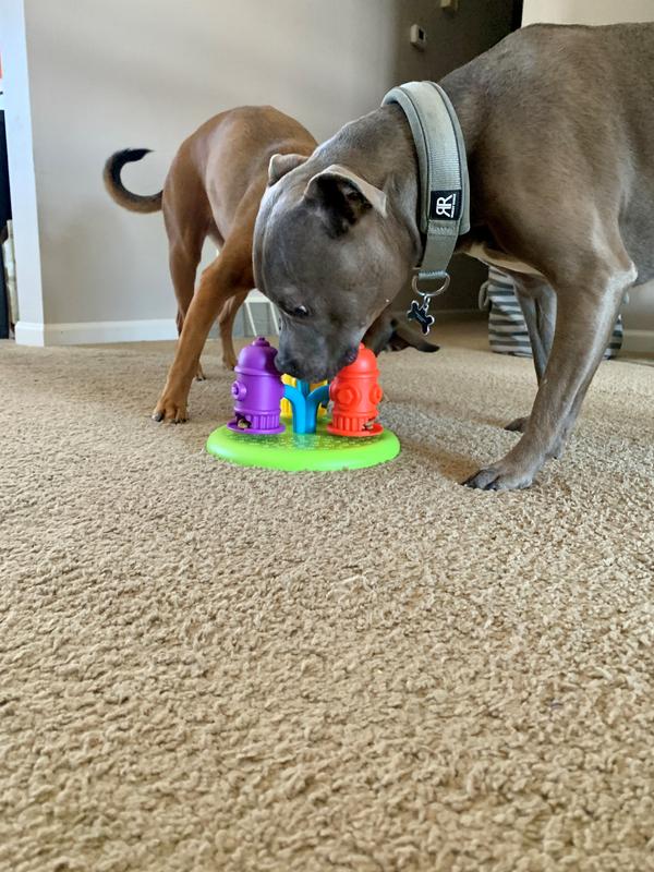 BRIGHTKINS Spinning Hydrants Treat Puzzle Dog Toy