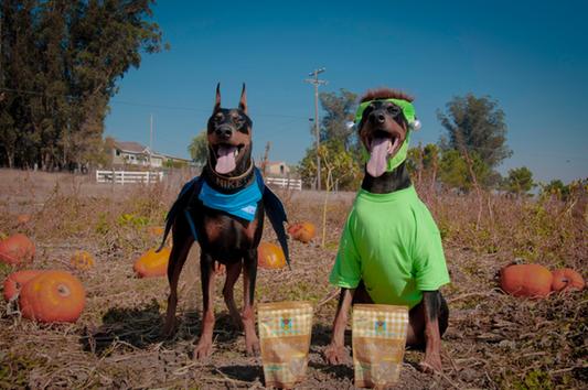 Date Worthy treats! She loves them too!!