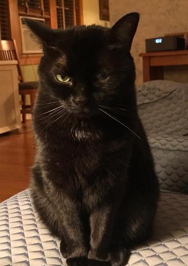 Flicka: "I believe that's my chair."