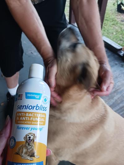 Vetnique Labs Seniorbliss Anti-Bacterial & Anti-Fungal Senior Dog Shampoo
