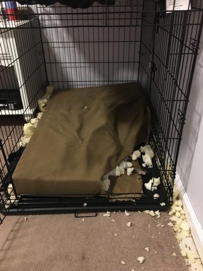 That was after one use