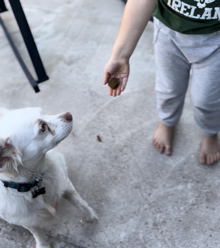 My son bonding with our best friend!
