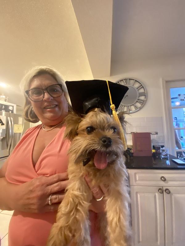 Rubie's Costume Company Rainbow Paw Print Dog & Cat Birthday Hat