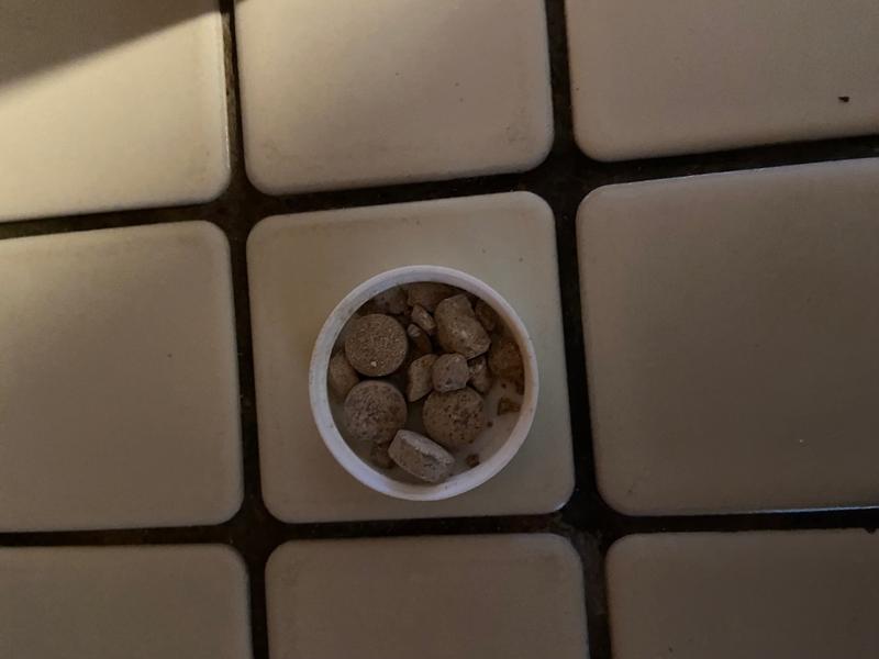 crushed pills