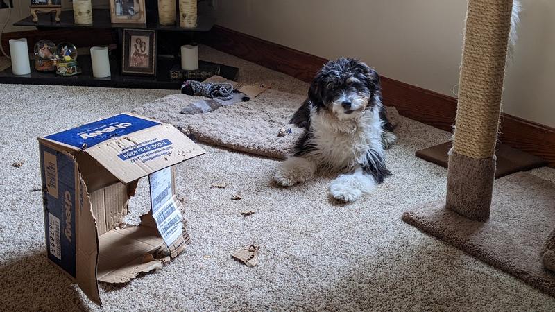 Harry Finally Found his food.