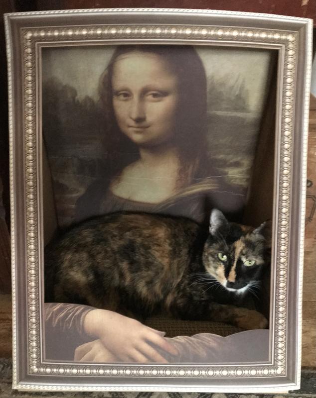 Cozy, and makes your kitty feel secure.