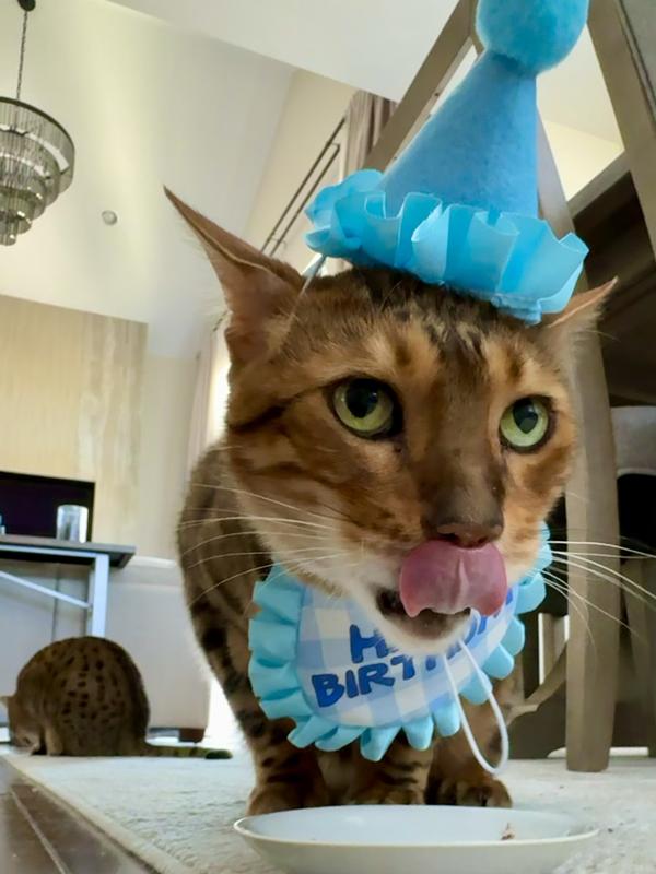 Tasty birthday treat