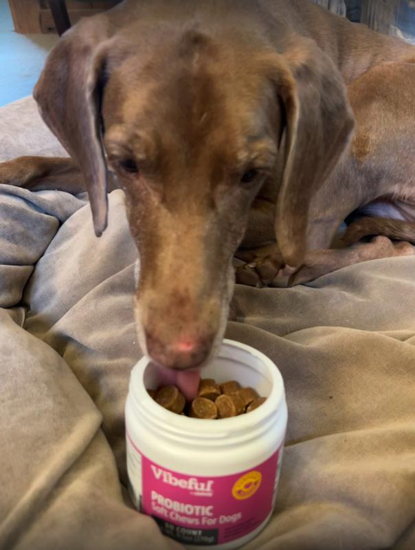 Bailey was very excited to try these!