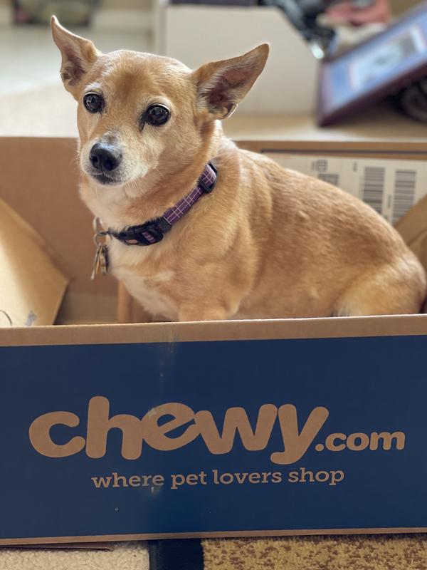 Keanu loves Chewy.com