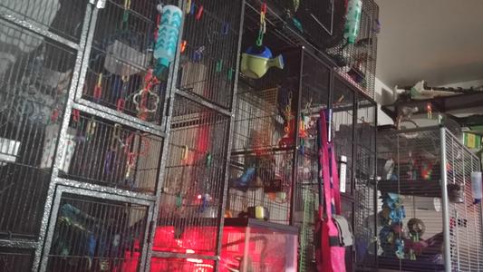 Glider mansion!