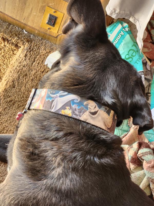 Even more beautiful than pictured!