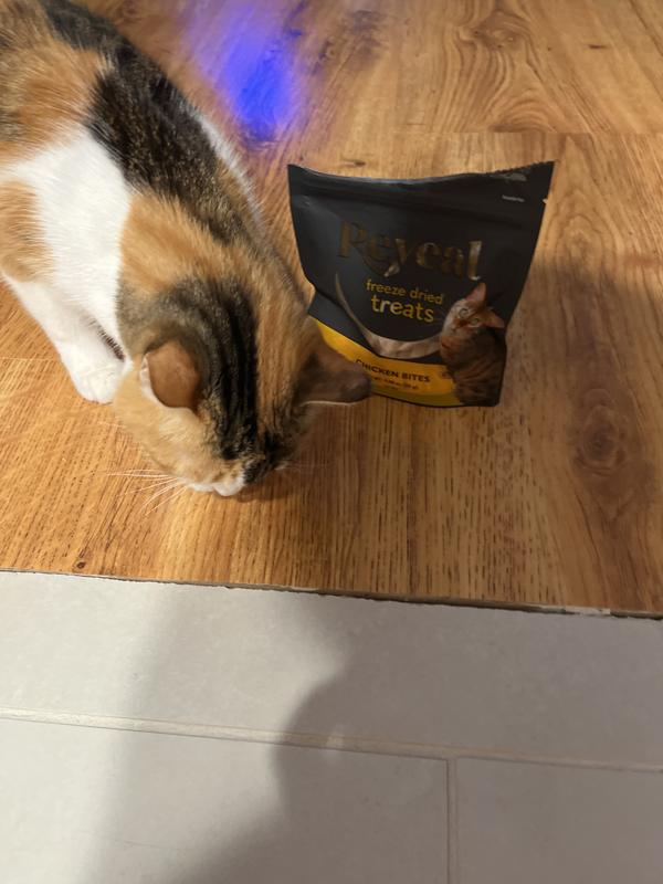 Can I have one more please 🥰