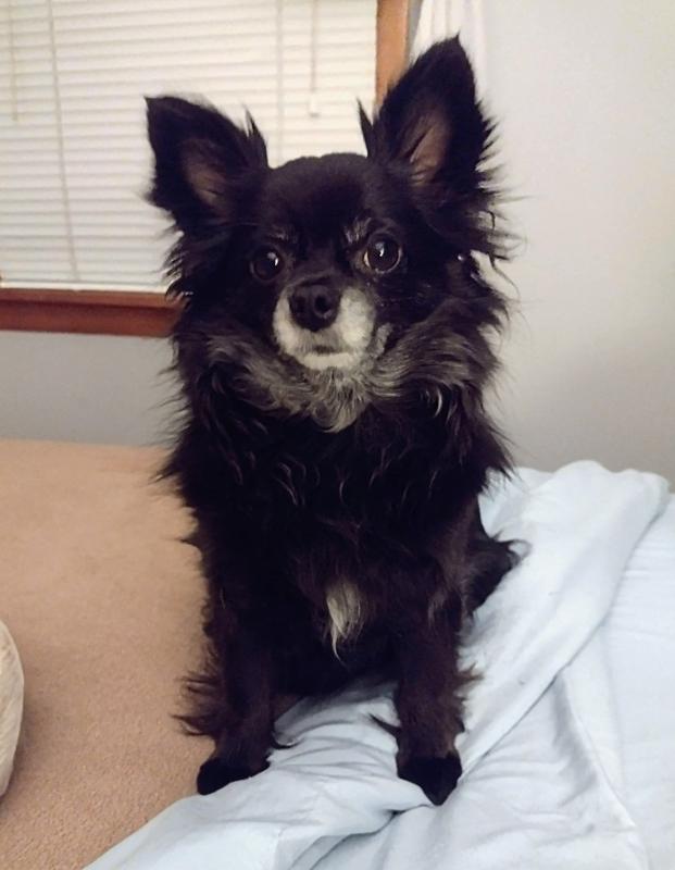 Happy Girl! No Itch!!