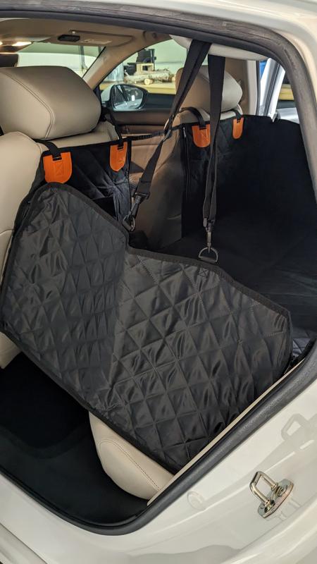 thorough protection for pup and car