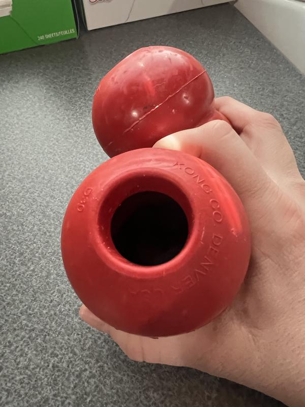 Hard to capture, but filled with kibble