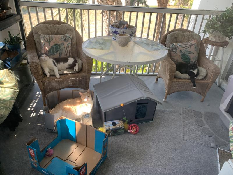 NOw Barbie is "One of the boyss" and gets to hang out with them in their catio patio man cave whenever she wants!