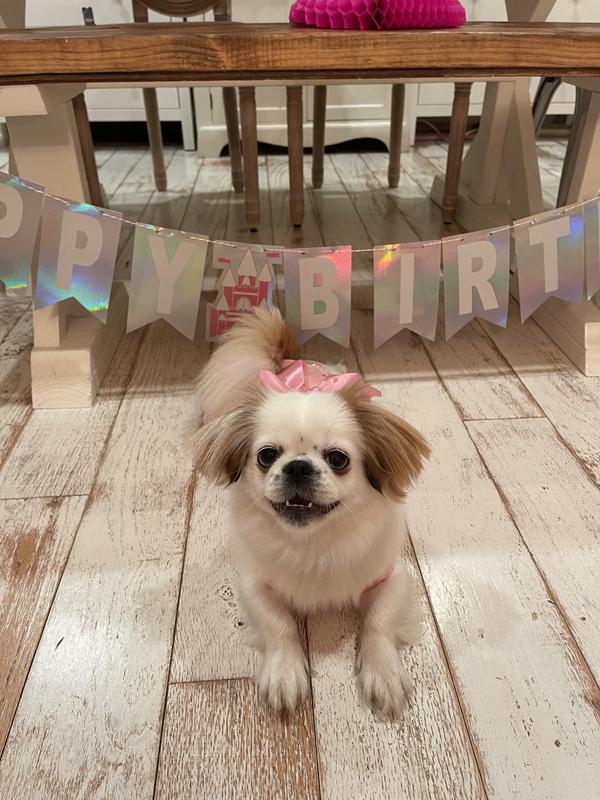 This is Pookie, the Trifexis is for her