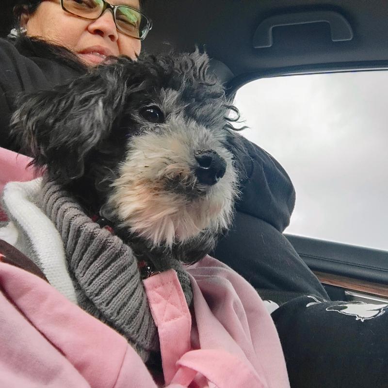 Living Life Thanks to ProBright Advanced