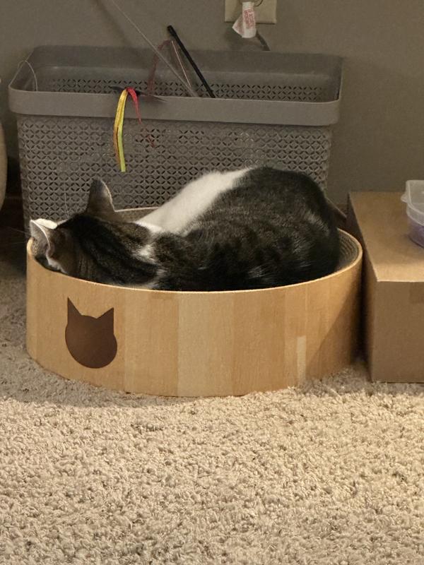 Lounging all day