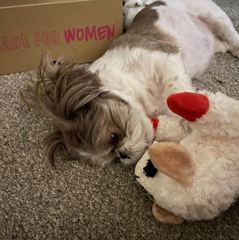 MULTIPET Lamb Chop Squeaky Plush Dog Toy Review