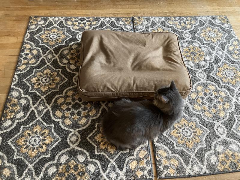 They'd rather be next to it then on it.