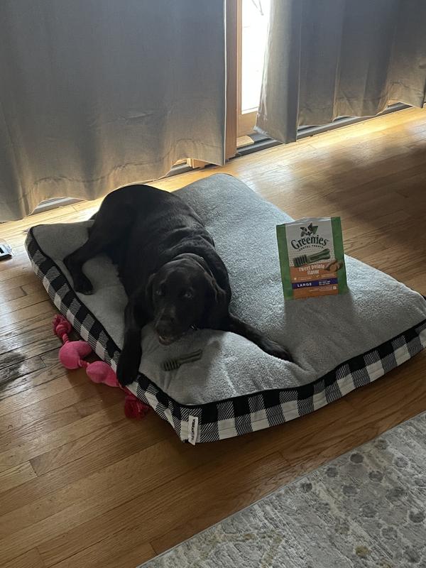 My Dog Loves Them!