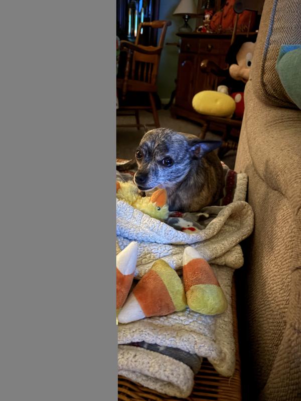 Roo Roo with her collection of candy corn