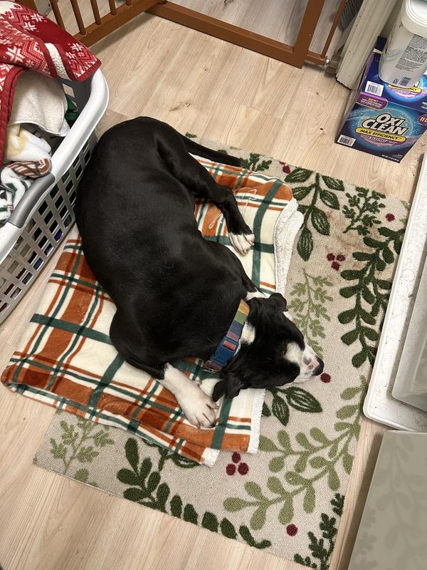 He needed a nap after his bath!