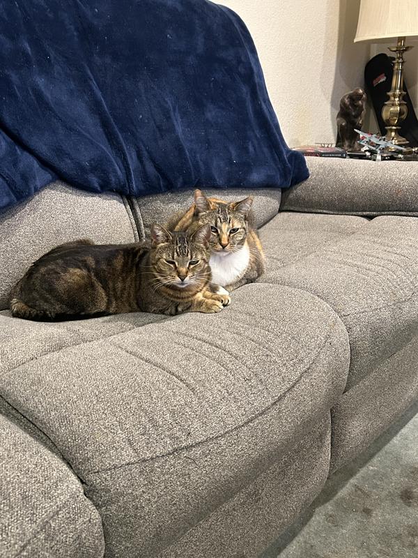 Mama and daughter Nicki