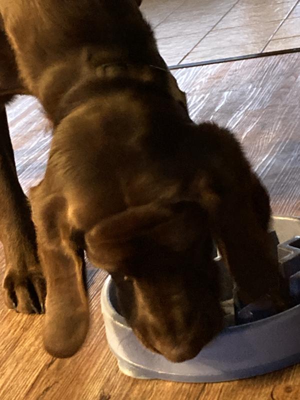 Chuck getting every last drop!