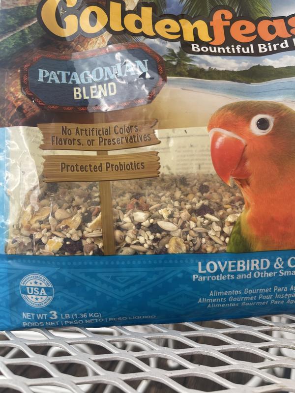 You can see some seeds an shells hanging from something