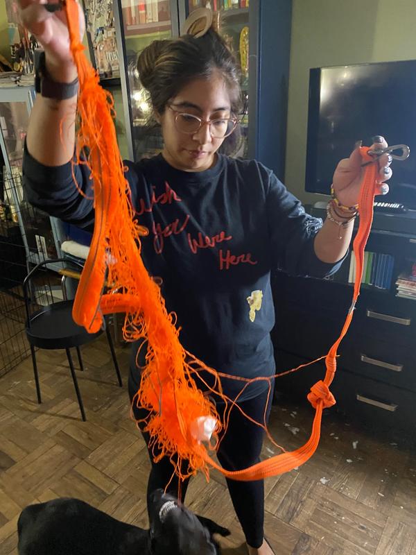 CARHARTT Tradesman Dog Leash, Hunter Orange, Large