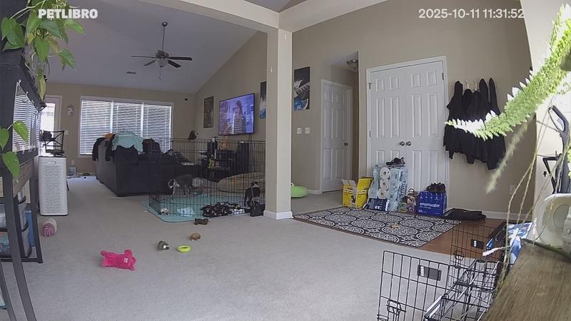 View from the camera