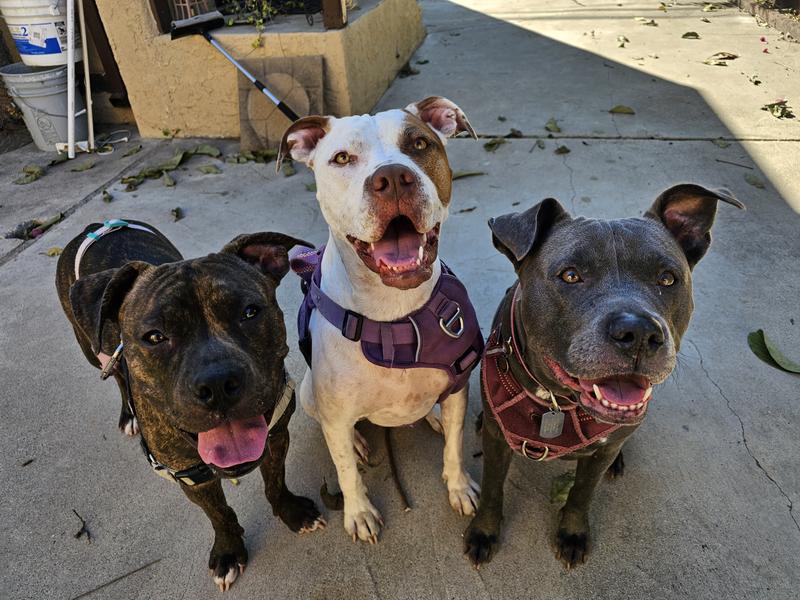 They continue to be healthy