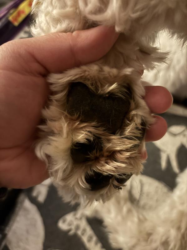 After product application! Moisturized and no dry patches!