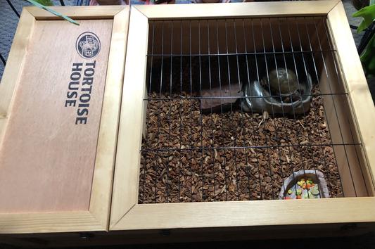 ZOO MED Wood Tortoise House reviews Chewy