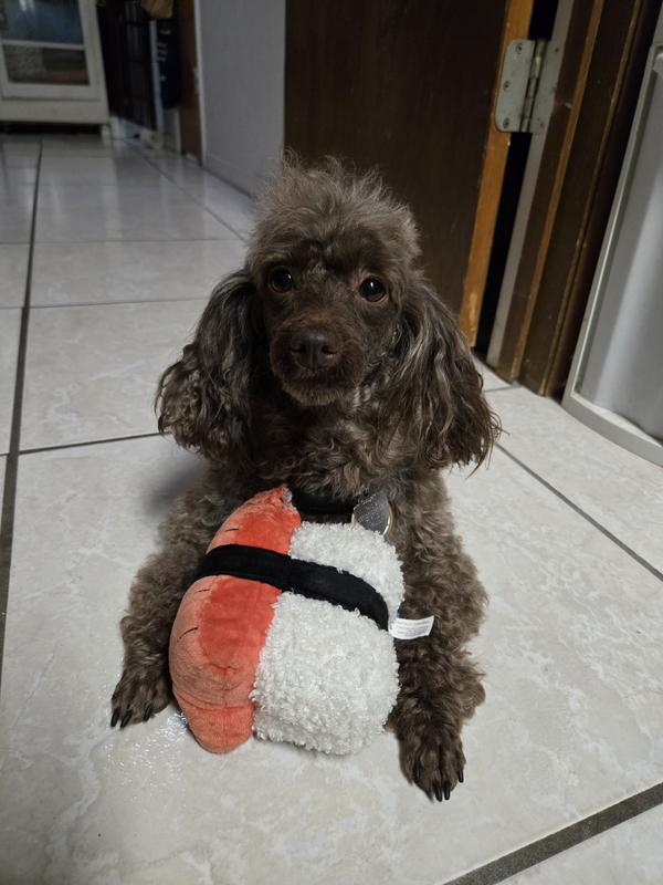 Cecelia guarding the sushi toy