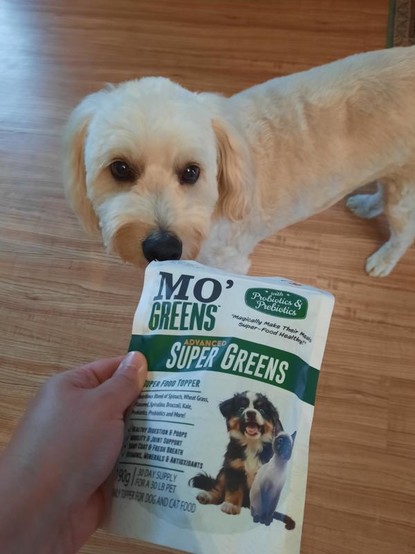MO GREENS Super Topper Powder Supplement for Dogs & Cats, 190-g bag ...