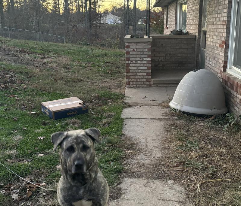 Porch of delivery clearly within dogs area