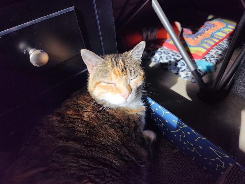 17 Years Young! ♡