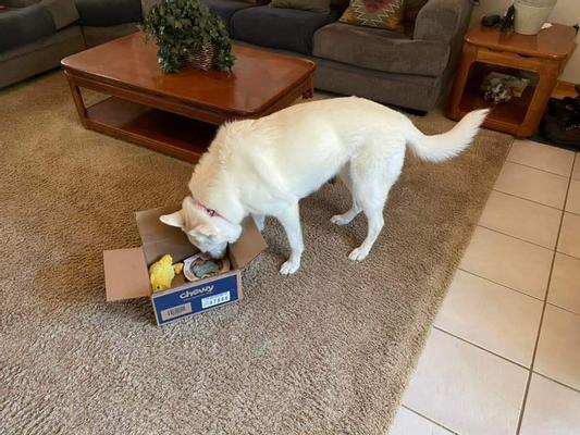 She loved her birthday box!