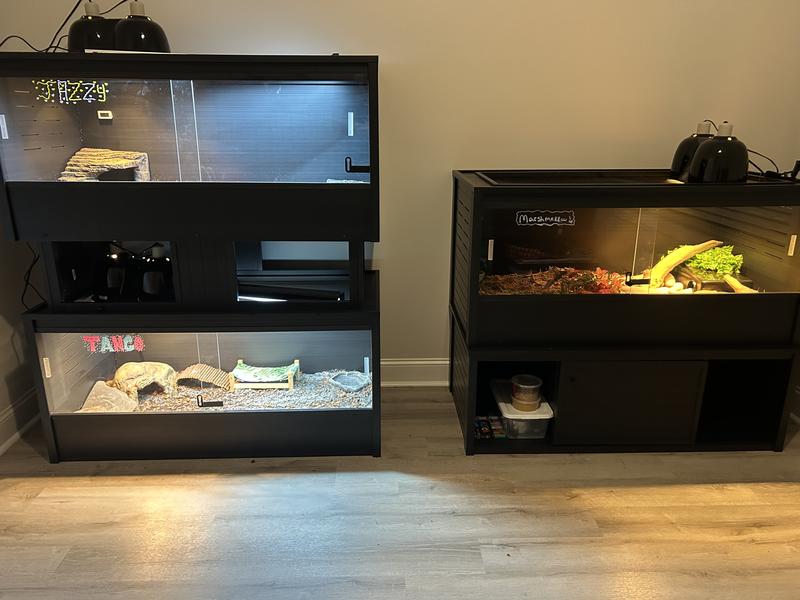NEW AGE PET 120 gallon ECOFLEX Reptile Enclosure, Grey, 4 x 2 x 2