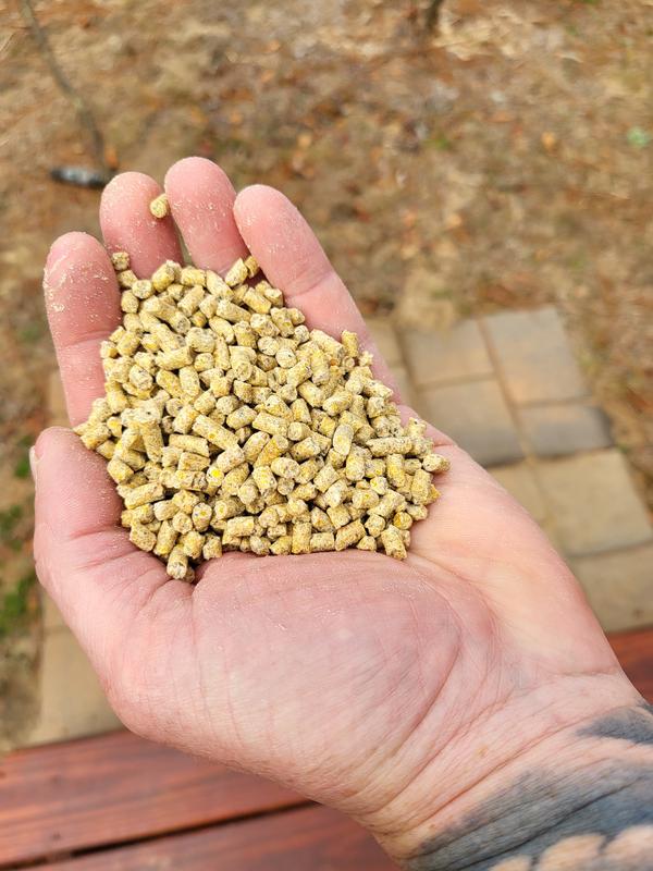 Just the right size pellets.