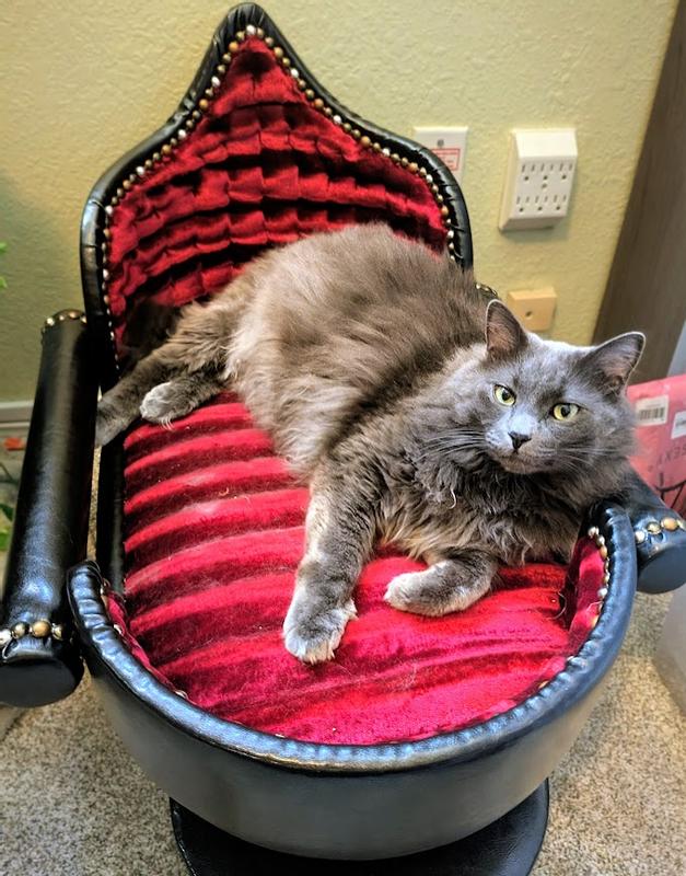 Royal Cat Boutique Royal Davenport Luxury Bolster Dog & Cat Bed