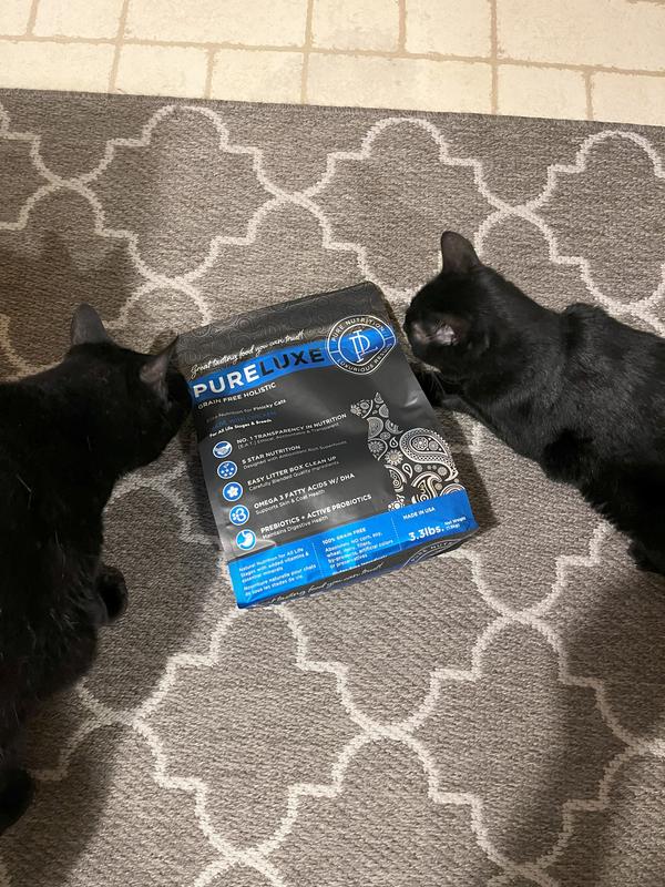 Jinx and Mitten trying to open the new bag of food