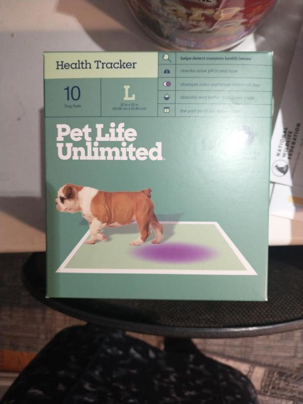 The box labeled as Large
