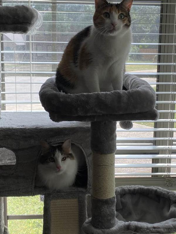 T'Pol & Spock enjoying life