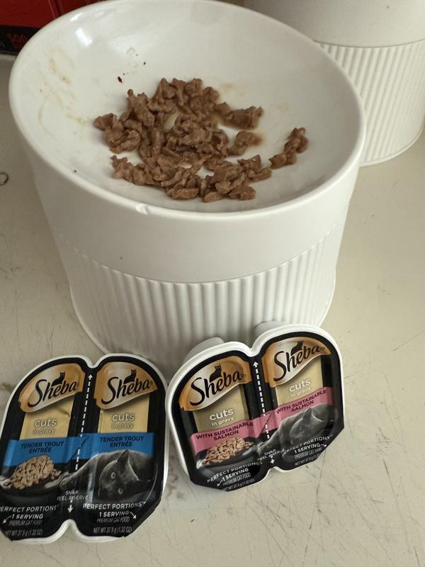 two of my cats favorite foods