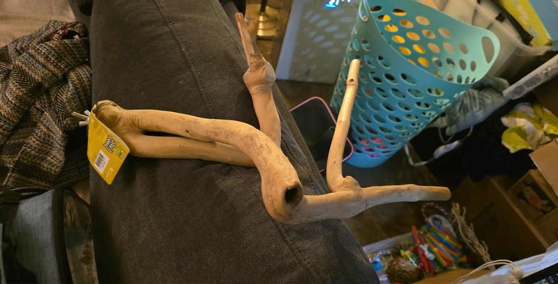 XL perch. Happy conures