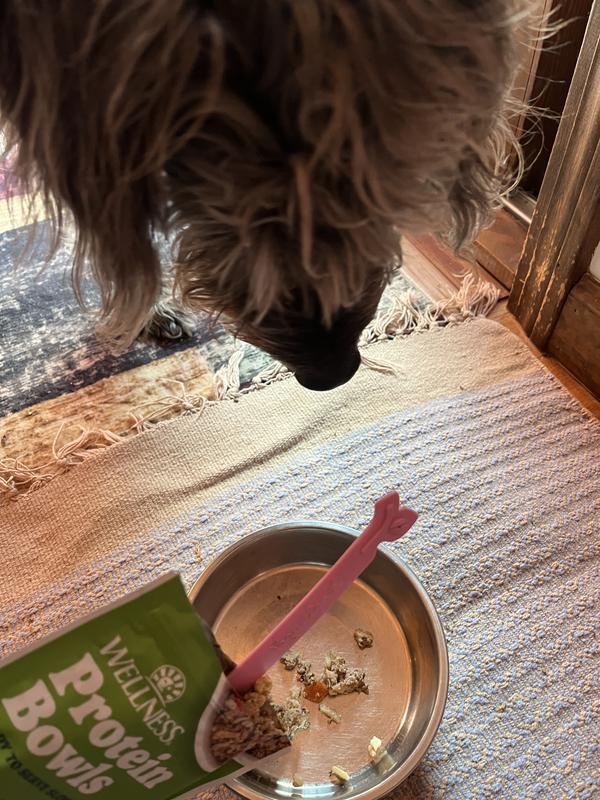 Hey so I know I just had lunch... but...